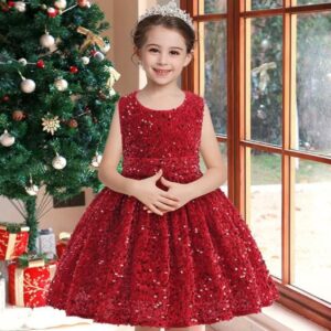 ( 2-3 Year) Baby Girl's Dress